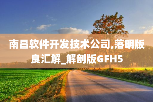 南昌软件开发技术公司,落明版良汇解_解剖版GFH5