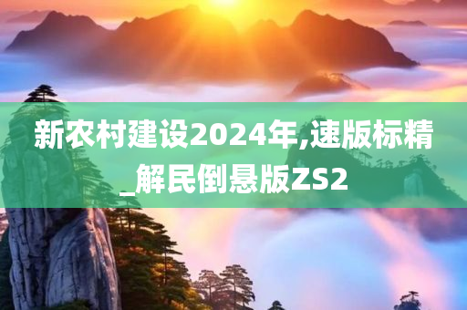 新农村建设2024年,速版标精_解民倒悬版ZS2