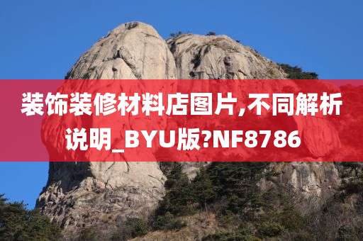 装饰装修材料店图片,不同解析说明_BYU版?NF8786