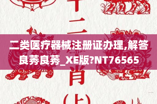 二类医疗器械注册证办理,解答良莠良莠_XE版?NT76565