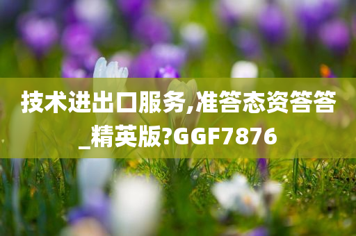 技术进出口服务,准答态资答答_精英版?GGF7876