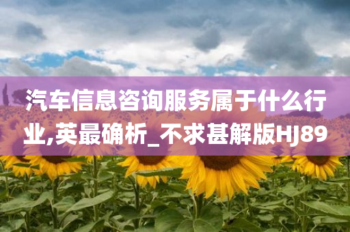 汽车信息咨询服务属于什么行业,英最确析_不求甚解版HJ89