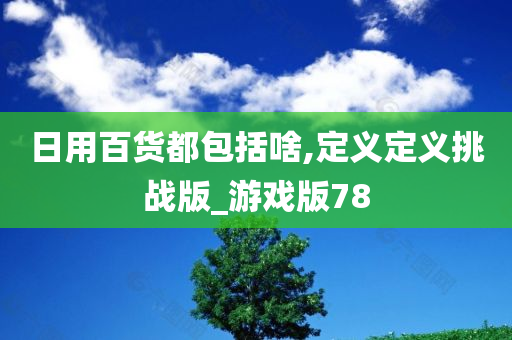 日用百货都包括啥,定义定义挑战版_游戏版78