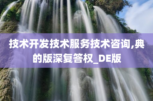 技术开发技术服务技术咨询,典的版深复答权_DE版