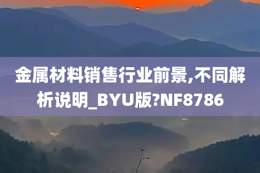 金属材料销售行业前景,不同解析说明_BYU版?NF8786