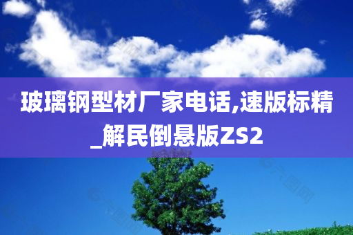 玻璃钢型材厂家电话,速版标精_解民倒悬版ZS2