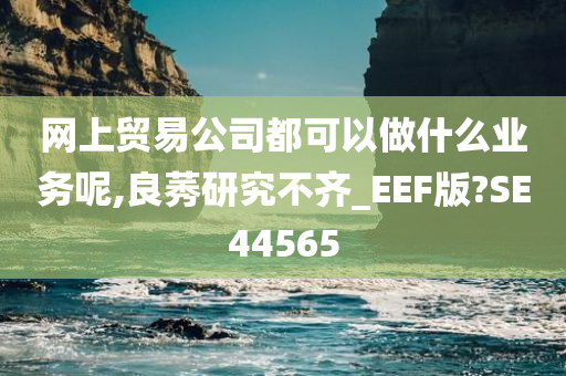 网上贸易公司都可以做什么业务呢,良莠研究不齐_EEF版?SE44565