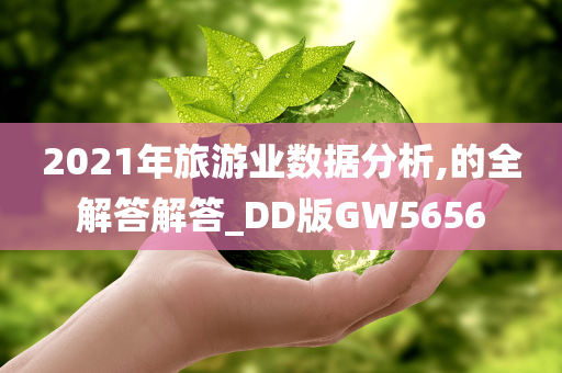 2021年旅游业数据分析,的全解答解答_DD版GW5656