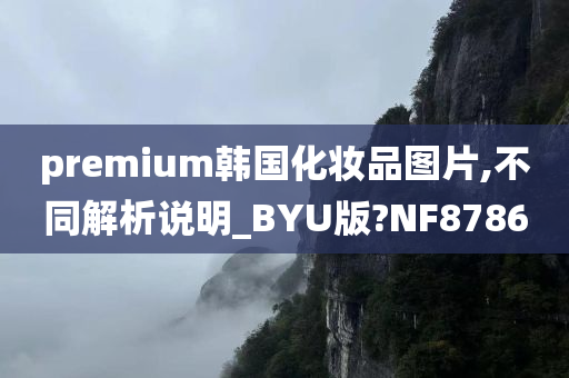 premium韩国化妆品图片,不同解析说明_BYU版?NF8786