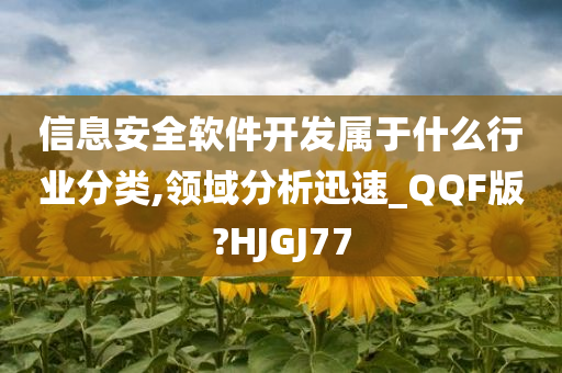 信息安全软件开发属于什么行业分类,领域分析迅速_QQF版?HJGJ77