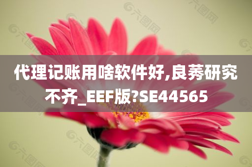 代理记账用啥软件好,良莠研究不齐_EEF版?SE44565