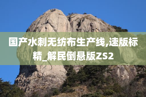 国产水刺无纺布生产线,速版标精_解民倒悬版ZS2