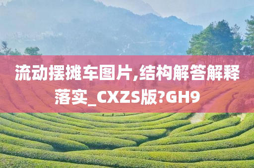 流动摆摊车图片,结构解答解释落实_CXZS版?GH9