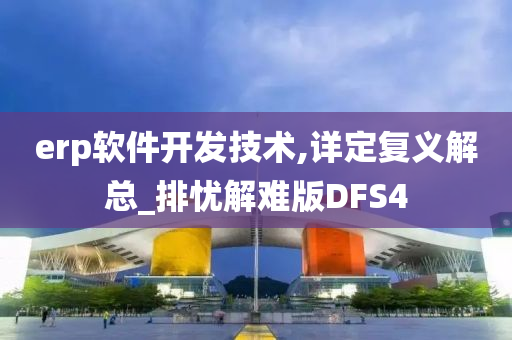 erp软件开发技术,详定复义解总_排忧解难版DFS4