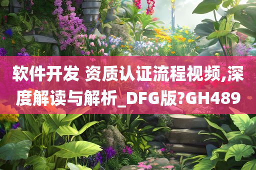 软件开发 资质认证流程视频,深度解读与解析_DFG版?GH489