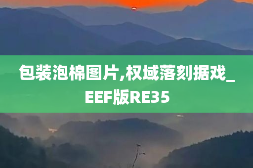 包装泡棉图片,权域落刻据戏_EEF版RE35