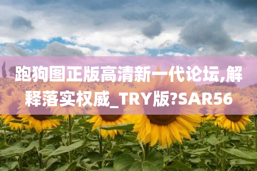 跑狗图正版高清新一代论坛,解释落实权威_TRY版?SAR56