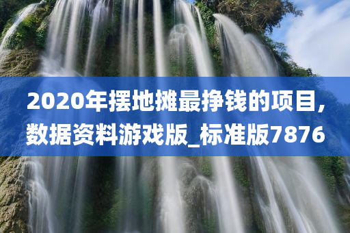 2020年摆地摊最挣钱的项目,数据资料游戏版_标准版7876