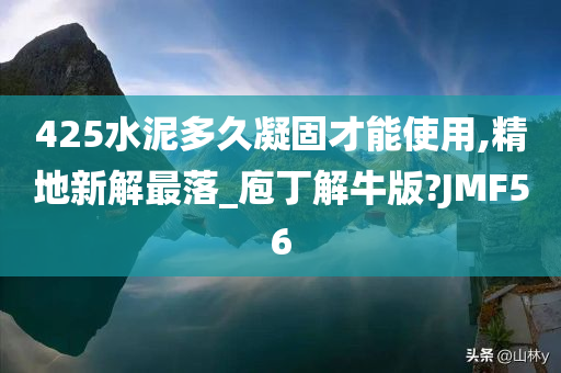 425水泥多久凝固才能使用,精地新解最落_庖丁解牛版?JMF56