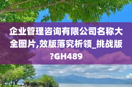 企业管理咨询有限公司名称大全图片,效版落究析领_挑战版?GH489