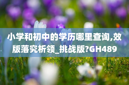 小学和初中的学历哪里查询,效版落究析领_挑战版?GH489