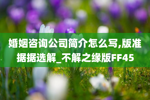 婚姻咨询公司简介怎么写,版准据据选解_不解之缘版FF45