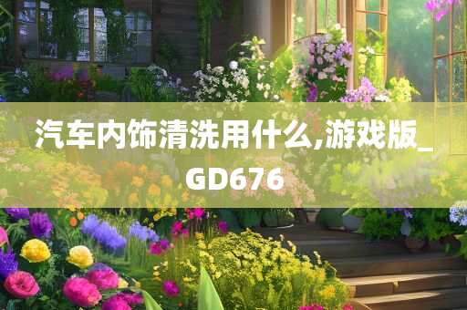 汽车内饰清洗用什么,游戏版_GD676