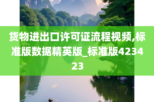 货物进出口许可证流程视频,标准版数据精英版_标准版423423