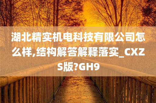 湖北精实机电科技有限公司怎么样,结构解答解释落实_CXZS版?GH9