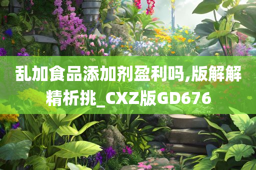 乱加食品添加剂盈利吗,版解解精析挑_CXZ版GD676