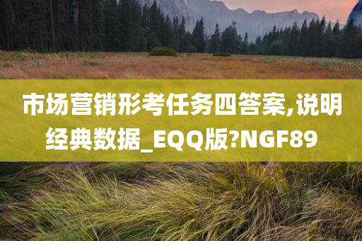 市场营销形考任务四答案,说明经典数据_EQQ版?NGF89