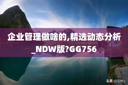 企业管理做啥的,精选动态分析_NDW版?GG756