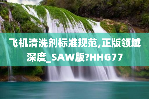 飞机清洗剂标准规范,正版领域深度_SAW版?HHG77