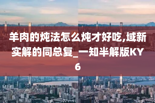 羊肉的炖法怎么炖才好吃,域新实解的同总复_一知半解版KY6