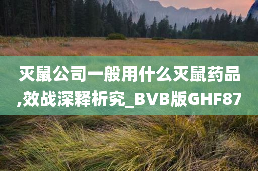 灭鼠公司一般用什么灭鼠药品,效战深释析究_BVB版GHF87