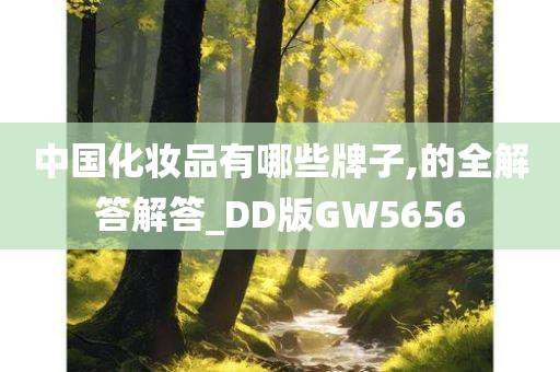 中国化妆品有哪些牌子,的全解答解答_DD版GW5656