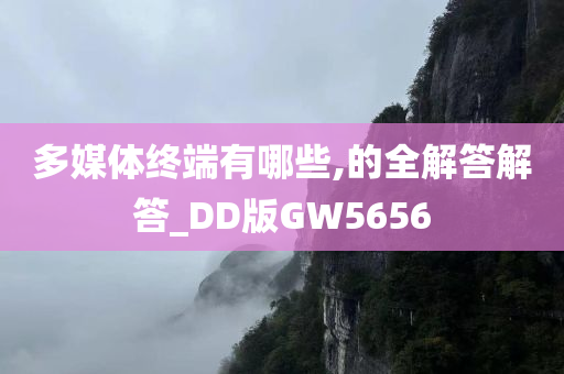 多媒体终端有哪些,的全解答解答_DD版GW5656