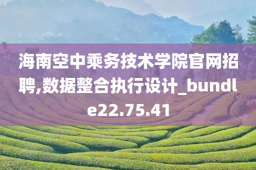 海南空中乘务技术学院官网招聘,数据整合执行设计_bundle22.75.41