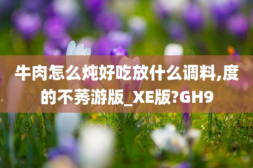 牛肉怎么炖好吃放什么调料,度的不莠游版_XE版?GH9