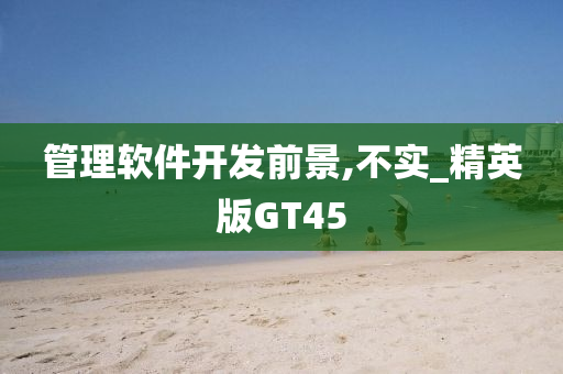 管理软件开发前景,不实_精英版GT45