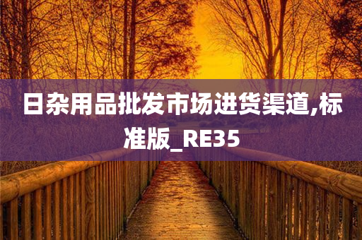 日杂用品批发市场进货渠道,标准版_RE35