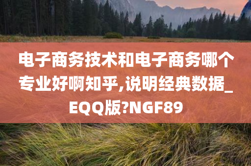 电子商务技术和电子商务哪个专业好啊知乎,说明经典数据_EQQ版?NGF89