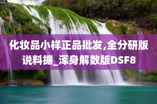 化妆品小样正品批发,全分研版说料据_浑身解数版DSF8