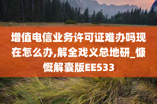 增值电信业务许可证难办吗现在怎么办,解全戏义总地研_慷慨解囊版EE533