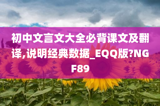 初中文言文大全必背课文及翻译,说明经典数据_EQQ版?NGF89