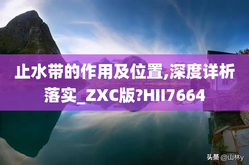 止水带的作用及位置,深度详析落实_ZXC版?HII7664