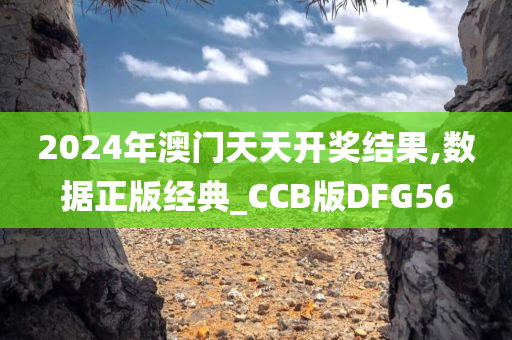 2024年澳门天天开奖结果,数据正版经典_CCB版DFG56