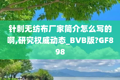 针刺无纺布厂家简介怎么写的啊,研究权威动态_BVB版?GF898