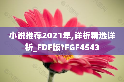 小说推荐2021年,详析精选详析_FDF版?FGF4543