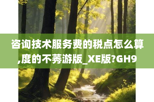 咨询技术服务费的税点怎么算,度的不莠游版_XE版?GH9